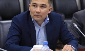 «Өзекті тақырыптар бойынша референдум өткізу – жаңа саяси мәдениеттің көрінісі»