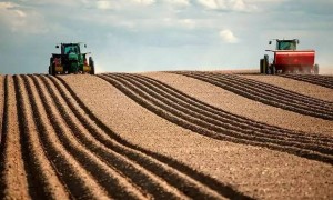 Биыл көктемгі егіс жұмыстарына 140 млрд теңге бөлінеді – Үкімет басшысы