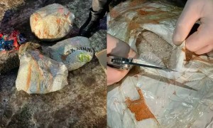 Елордада синтетикалық есірткі жеткізудің ірі арнасы жойылды