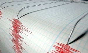 Қырғызстанда шамамен 4 балдық жер сілкінісі тіркелді