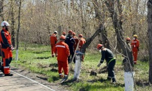 Металлургтер “Таза Қазақстан” экологиялық акциясын өткізді