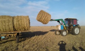 Елімізде шөп шабу науқанына қосымша жанармай бөлінеді