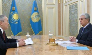 Мемлекет басшысы Жанат Элимановты қабылдады