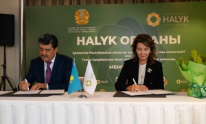 Тимур Құлыбаев қоры 4 миллион ағаш отырғызу үшін «Halyk орманы» жобасына 1 млрд теңге инвестиция құйды