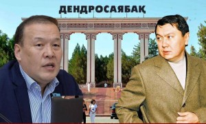 Мәжіліс депутаты Рахат Әлиевтың адамдары қысым көрсеткенін айтты (ВИДЕО)