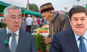 «Ең төменгі жалақы 160 мың теңге болуы керек». Мәжіліс депутаты вице-премьерге шүйлікті