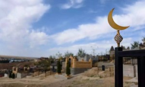 Таразда моланың ішінен шайтан шықты (ВИДЕО)