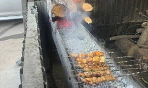 Алматыдағы дәмханадалар да экологиялық және санитарлық талаптардың бұзылғаны анықталды