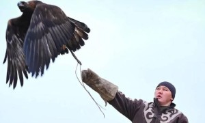 Ұлттық спорт «Салбурын» жайлы не білесіз?