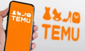 АҚШ-та Temu-ға қарсы тергеулер басталды