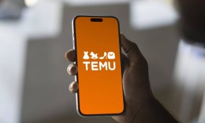 Temu-дан алынған ойыншықтар АҚШ-та тексеруден өтпеді