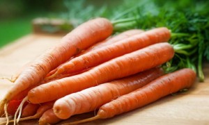 Сәбізді Қазақстаннан шығаруға уақытша тыйым салу ұсынылды