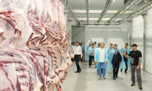 Балық өнімдері - Әзербайжанға, тірі ұсақ малдары - Моңғолияға, жем-шөп - Мароккоға: тағы қай елдерге қандай өнім экспортталады?