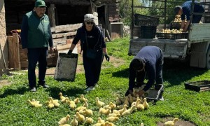 Үржарда «Тауарлық несие» бағдарламасы сәтті басталды