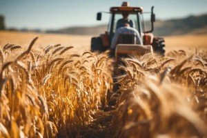 Қазақ астығын Парсы шығанағы елдеріне жеткізу жолдары пысықталып жатыр