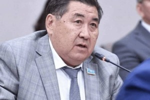 Назарбаев мемлекеттік басқару жүйесінен толықтай шеттетілген – Бапи