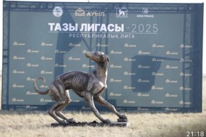 «Тазы лигасы – 2025»: Жүйрік тазылар жарысты