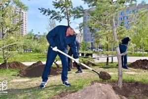 Үкімет аппараты «Таза Қазақстан» экологиялық бастамасы аясында сенбілікке қатысты