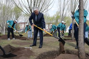 Мемлекет басшысы «Жастар» саябағында ағаш екті
