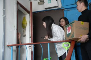 Жетісуда жыл басынан бері 672 волонтерлік акциясы ұйымдастырылды