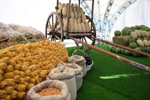 Қазақстанның ауыл шаруашылығы өнімдері 80-нен астам елге экспортталады – Президент