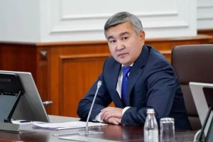 Жан-жақтан қарыз ала бермей, тиісті талдау жасаймыз – министр