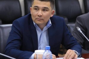 «Өзекті тақырыптар бойынша референдум өткізу – жаңа саяси мәдениеттің көрінісі»