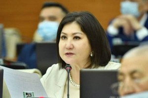 Су үшін бөлінген миллиондар қайда – депутат Нұрымова тексеріс жүргізуді талап етті