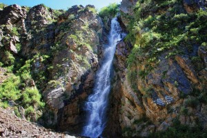 «Судың ең бірінші тұтынушысы тұмса табиғат»