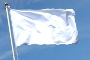 Алашорда үкіметінің туы қандай болған?