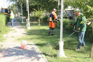 ТҮРКІСТАН: «ТАЗА ҚАЗАҚСТАН» АЯСЫНДА «ТАЗА АУЫЛ» ЭКОАКЦИЯСЫ ӨТТІ