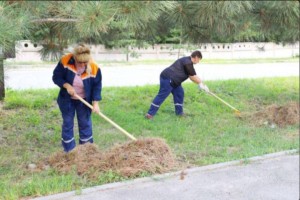 «Таза Қазақстан» акциясына 160 мыңнан астам жетісулық қатысты