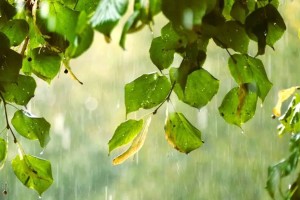 Бүгін солтүстікте нөсер жаңбыр жауады, 9 өңірде — аптап ыстық