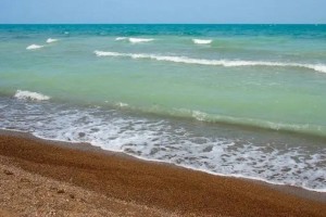 Балқаш көлінің су деңгейі көтерілді