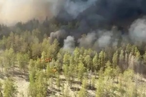 Қазірдің өзінде 27 орман өрті тіркелді – министр