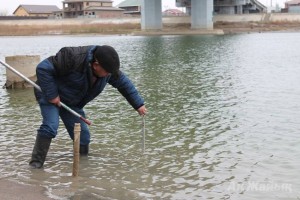 Жайықтың тасуына санаулы см қалды (ФОТО)