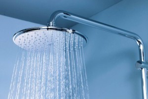 Қала басшысы душқа жұбайыңмен түсуге кеңес берді