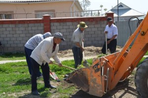 Жетісай ауданында экоакция аясында 300 түп ағаш әктелді