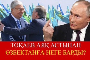 Путинге Тоқаев пен Мирзеевтің жиі кездесуі ұнамайды – Сарапшы