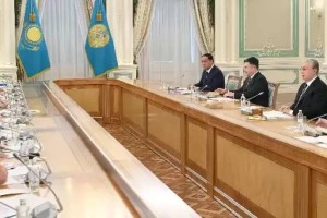 Президент Үкіметке ауыл шаруашылығының жай-күйіне мұқият талдау жүргізуді тапсырды