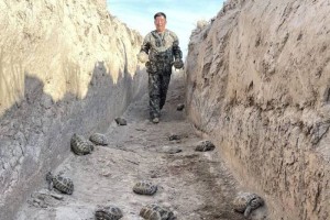 «Таза Қазақстан» экологиялық акциясының ауқымын кеңейту керек»