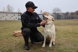 Иісшіл иттер өз көмегін көрсетті