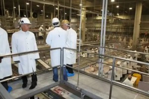 Америкалық санитарлық компания 100-ден астам баланы қауіпті жұмысқа алған