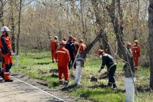 Металлургтер “Таза Қазақстан” экологиялық акциясын өткізді