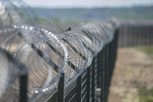 Тәліптерден қашқан бір топ ауғанстандық Тәжікстан шекарасынан өтіп кетті