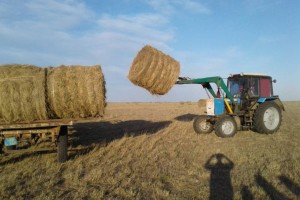 Елімізде шөп шабу науқанына қосымша жанармай бөлінеді