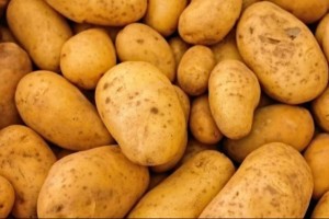 Картоп бағасы көктемде 185 теңгеден аспайды