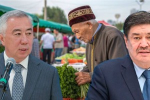 «Ең төменгі жалақы 160 мың теңге болуы керек». Мәжіліс депутаты вице-премьерге шүйлікті