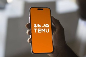 Temu-дан алынған ойыншықтар АҚШ-та тексеруден өтпеді