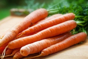 Сәбізді Қазақстаннан шығаруға уақытша тыйым салу ұсынылды